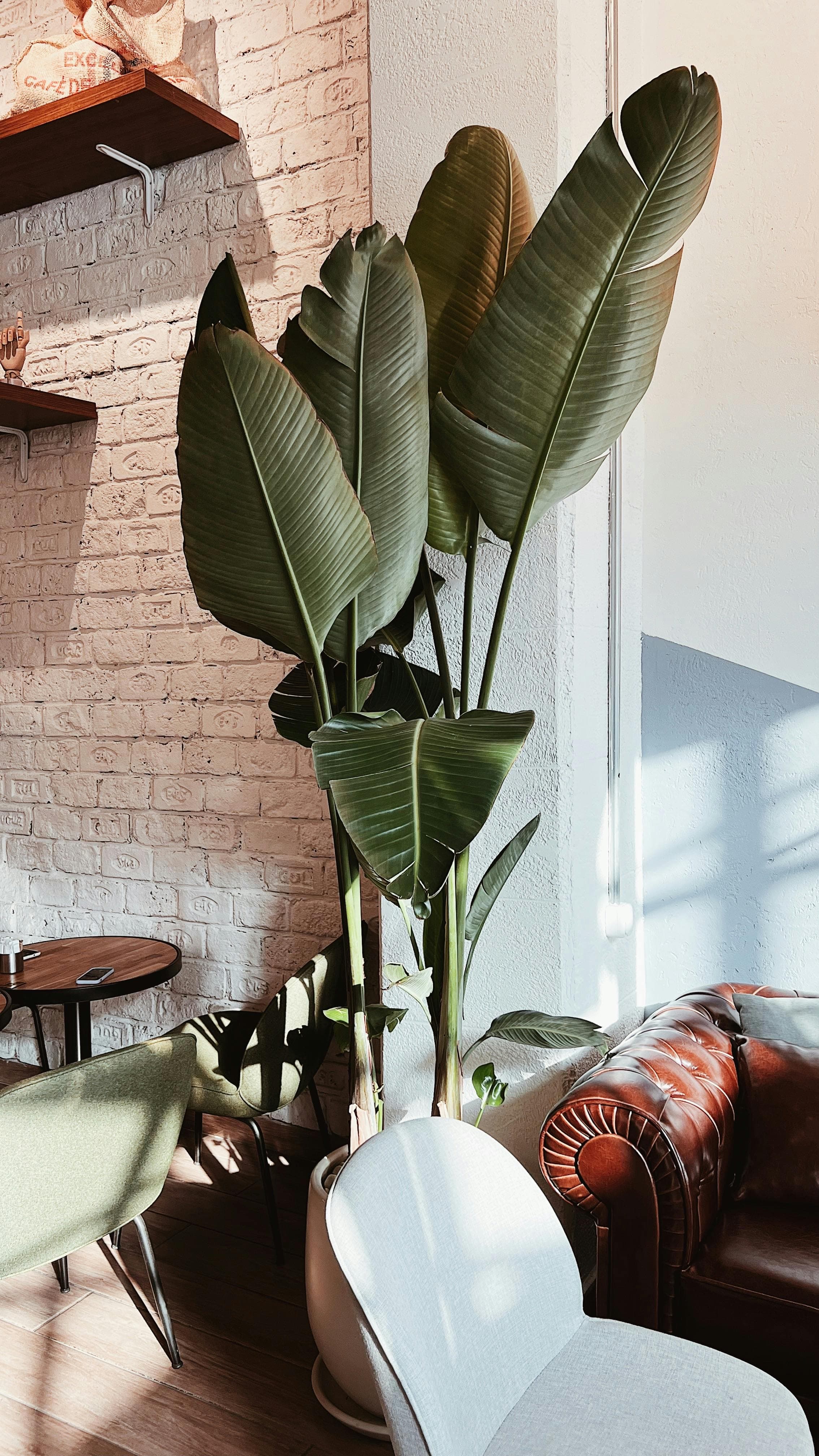 Mars Psikoloji ana görsel